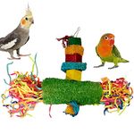 CONGO® 12X8 Inch Foraging Luffa Chew Color Hanging Toy for Budgies, Finches, Cockatiel, Lovebirds, and Other Small Birds (Piece of 1)