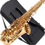 Saxophone Herche Superior Alto Saxo