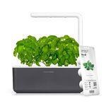 Click and Grow Smart Garden 3 Indoor Herb Garden (includes Basil Plant Pods), Gray