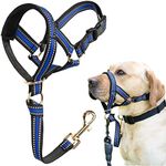 BARKLESS Muzzle Leash for Heavy Pullers, No Pull Stylish Head Halter for Medium Large Aggressive Dogs, Gentle Dog Face Harness Stops Pet Pulling and Choking on Walks, Adjustable Head Collar (L, Blue)