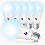 Sengled Dusk to Dawn Light Bulbs Outdoor, 5000K Daylight A19 LED Bulb 75W Watt Equivalent(10.5W), Automatic LED Dusk to Dawn Light Bulbs for Front Porch 6 Pack, Outdoor Indoor, UL Listed