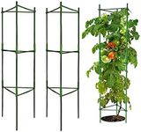 Garden Art Pack of 3 Tomato Cage 150cm Tall | Plant Support, Cages, Stakes, Trelli for Climbing Plants,Creepers, Flowers, Fruits, Vine | GATS-5