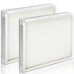 2 Pack F301H Air Scrubber Stage 2 HEPA Air Filter