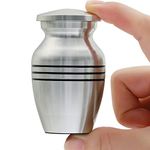 ICOKEE Small Keepsake Urn for Human Ashes or Pet Ashes, Qty 1, Hard Metal Cremation Urn, Mini Funeral Urn, with Velvet Bag