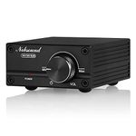 Nobsound Subwoofer Amplifier - 100W Mono Channel Digital Class D Power Amp with Power Supply for Passive Speakers and Subwoofers