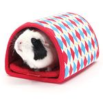 HAYPIGS Guinea Pig Tunnel and Hides - Guinea Pig Tube and Hidey Hut - Guinea Pig Toys for Cage - Small Animal Accessories Tunnels and Tubes