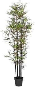 Blooming Artificial - Black Stem Bamboo Tree, Realistic Artificial Plant for Garden, Home, and Office, Year Round Decorative Foliage, UV and Water Resistant (Green) (170cm)