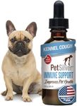 PetSilver Immune Support - Patented