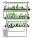 Pindfresh Hydroponics Kit for Home or Office - The Tashi Home Indoor NFT Hydroponic System with Grow Lights for Growing 81 Leafy Greens - All Inclusive kit (Standard Model, Small Reservoir)