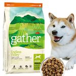 Gather Endless Valley Vegan Dog Food (6lb)