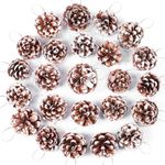 24pcs Christmas Pine Cones, Natural Hanging Snow Pinecones with string, Festival Holiday Ornaments for DIY Crafts Home Xmas Tree Winter Wreath Garland Wedding Decorations