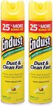 Endust Multi-Surface Dusting and Cl