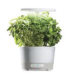 AeroGarden Harvest 360, White