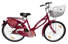 Schwinn Bike For Girls 24