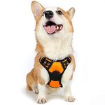 rabbitgoo Dog Harness Medium No Pull Pet Harness with 2 Leash Clips, Adjustable Soft Padded Pet Vest Harness, Reflective No-Choke with Easy Control Handle for Training or Walking, Orange, M