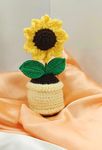 Knotsngifts Sunflower Mini Pot (Pack of 1)