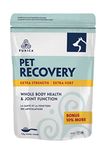 PURICA Pet Recovery Extra Strength - Premium Dog Joint and Hip Supplement, with Glucosamine for Dogs, Essential Dog Vitamins for Overall Well-Being & Comfort, Suitable for Senior Dogs - 1.1 kg