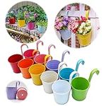 GIOVARA Large Metal Flower Pot Vase Bucket Hanging Garden Planter with Drainage Hole, Balcony Home Decor, Detachable Hook (10 Pcs with Assorted 10 Colours)