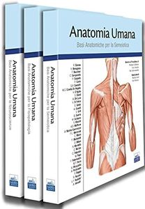 Anatomia u