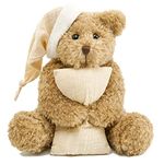 Nleio Teddy Bear Stuffed Animals, 28cm/15.7" Stuffed Bear with Hat & Pillow, Small Teddy Bear Plush Stuffed Animal for Kids Baby Toddlers Girlfriend, Gifts for Valentine's Day/Birthday/Christmas