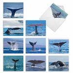 Whale Tales - 10 Majestic All Occasion Blank Cards with Envelope (4 x 5.12 Inch) - Ocean Orca Tails Notecard Set - Boxed Stationery Note Greeting Cards AM6839OCB-B1x10