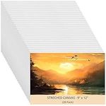 Belle Vous 28 Pack Canvases - Primed Canvas for Painting 20 x 30cm (8 x 12 inches) - Blank Canvas Panels - Artist Canvas Board - White Cotton Canvas Suitable for Acrylic, Oil Painting, Sketching