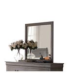 ACME Furniture Louis Philippe III 25504 Mirror, Antique Gray