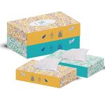 Kimberly-Clark Scott 2 Ply Facial Tissue Flat Box, 100 Pulls, Pack Of 4 (Total 400 Sheets) (60063)