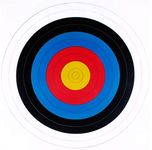 JVD Bulk 80cm FITA Archery Target Reinforced Paper Foam Straw Target 10 25 50 Recurve (x 50 Qty)