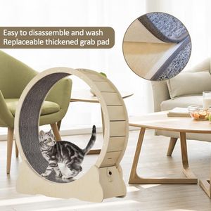 Keyzone XL Cat Exercise Wheel – Indoor Pet Running Toy