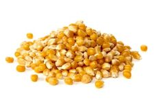 Akolity Maize (Dry Corn Seeds) for Birds 1 Kg Food for Garden Animals, Doves, Squirrel, Finches, Waxbills, Budgies, Lovebirds, Cockatiels, Chicken