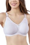 MAROON White-36B Cotton Blend Seamless Non Padded Full Coverage Non-Wired Women Pack of 1 Minimizer Bra