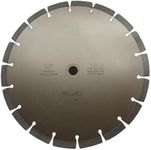 10 Inch Diamond Concrete Saw Blade,10 Inch Masonry Blade with 5/8 inch Arbor,Sharp Tile Saw Blade Dry or Wet Cutting for Brick Paves Concrete Stone Block Marble Granite (LSS10)