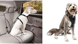 Kurgo Direct to Seat Belt Tether, Universal Car Seat Belt for Dogs+Kurgo Tru-Fit Smart Dog Walking Harness, Quick Release Buckles