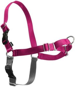PetSafe Easy Walk No-Pull Dog Harness - Ultimate Harness to Help Stop Pulling - Pull-Free Walks - Take Control & Teach Better Leash Manners - Patented Martingale Loop Design - Raspberry, Large