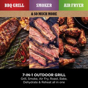Ninja Woodfire Electric Grill, Red – Outdoor BBQ & Smoker