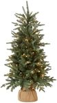 National Tree Company Pre-lit Artif