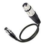 XMSJSIY Mini Female XLR to XLR Female Audio Cable Adapter 3 Pin XLR to Mini 3 Pin XLR Microphone Cable Wire for Lavalier Mic Camera-1 Pcs (Mini XLR Female to XLR Female)