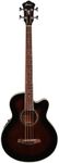 Ibanez Acoustic-Electric Bass Guitar Dark Violin Sunburst