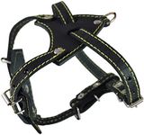 Genuine Leather Dog Harness, 16.5"-20" Chest size, 1/2" Wide