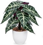 Briful Fake Plant 15" Realistic Potted Artificial Plant, Alocasia Amazonica Polly Faux Plant, Large Leaves Fake Houseplant Tropical Plant for Home Indoor Bathroom Living Room Wedding Decor