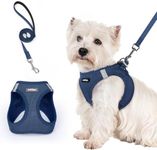 rabbitgoo Dog Harness Small Breed a