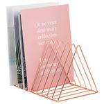 ESAEPRES Rose Gold Magazine Holder, Desktop File Sorter Organizer Triangle 9 Slot Newspaper Record Storage Shelf Rack for Home Office Decoration