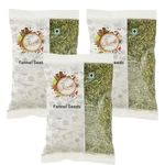 Chounk Premium Whole Fennel Seeds (Saunf Moti/Variyali/Mouri/Sompu/Sompulu/Somp/Perumjeerakam), 300 grams - Fresh and Aromatic! | No Preservatives