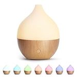 SALKING Essential Oil Diffuser, 100ml Small Aromatherapy Diffuser, Ultrasonic Diffusers for Essential Oils, Cool Mist Humidifier with Warm White Lights, Auto Shut-Off Function, for Office Home