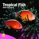 2025 Tropical Fish Monthly Wall Calendar by Bright Day, 12 x 12 Inch Cute Nature Photography Gift