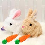 ALEX Toys Bunny Toys