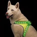 Blazin Light Up Dog Harness - 8 LED