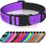 Joytale Reflective Dog Collar, Soft