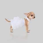 WORDERFUL Dog Wedding Dress Bride Outfit Pearl Necklace Rose Pet Princess Formal Apparel Puppy Cat (S)